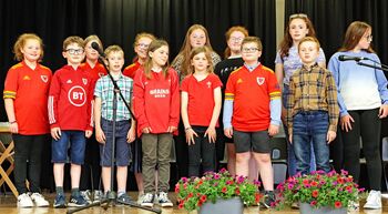 Parti Aelwyd Llansannan